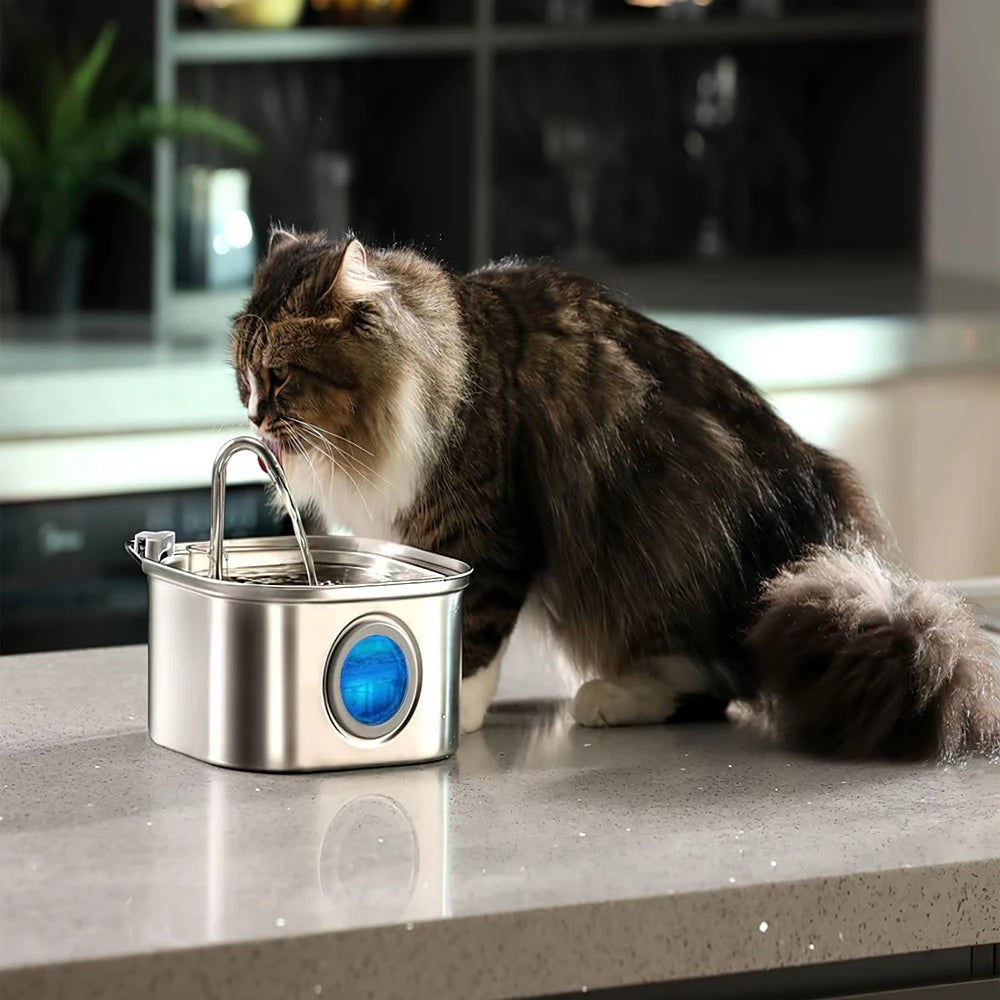 3.2L Stainless Steel Cat & Dog Water Fountain Feeder (Kittyspout)